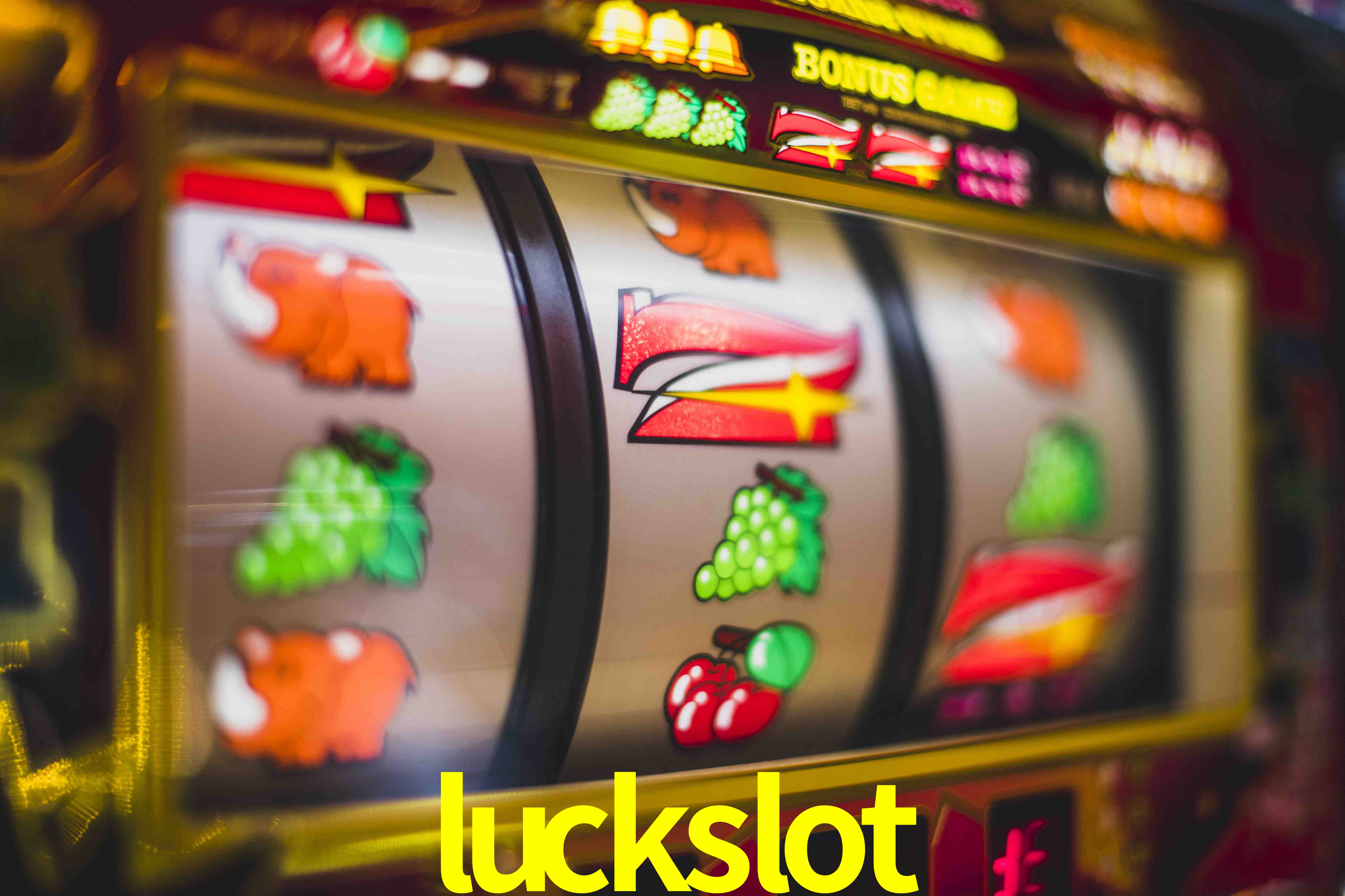 Statistics luckslot